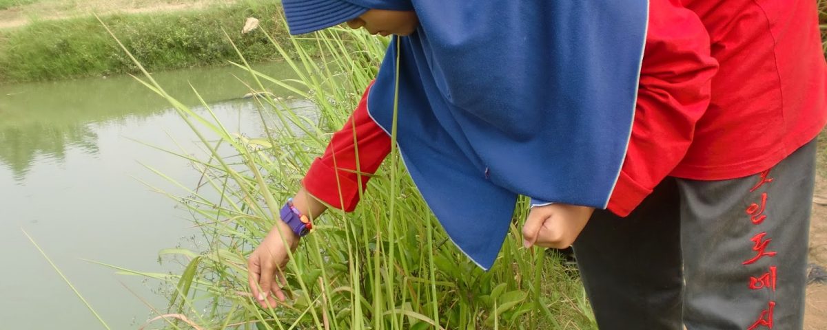 Keuntungan Anak Belajar di Sekolah Alam
