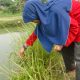 Keuntungan Anak Belajar di Sekolah Alam