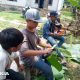 Kreativitas Jadi Fokus Sekolah Alam?