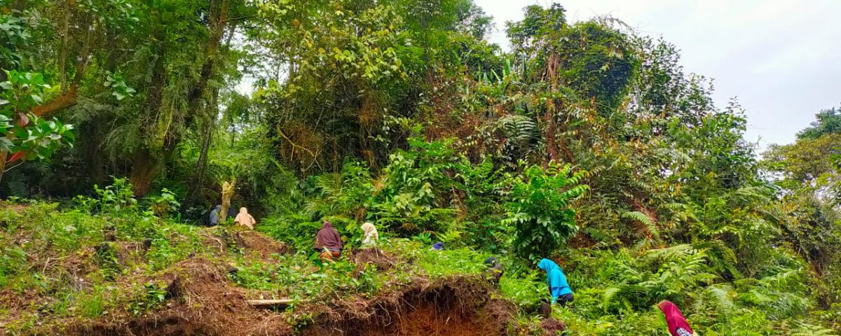 Green Therapy Ala Saga Lifeschool