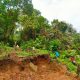 Green Therapy Ala Saga Lifeschool