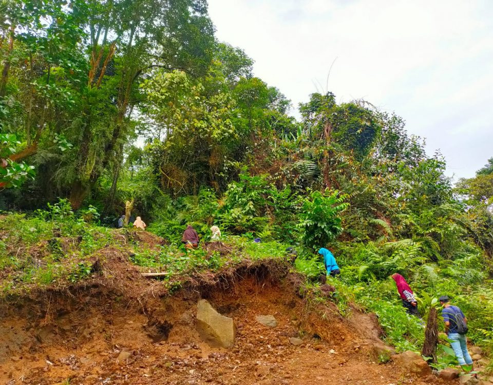 Green Therapy Ala Saga Lifeschool