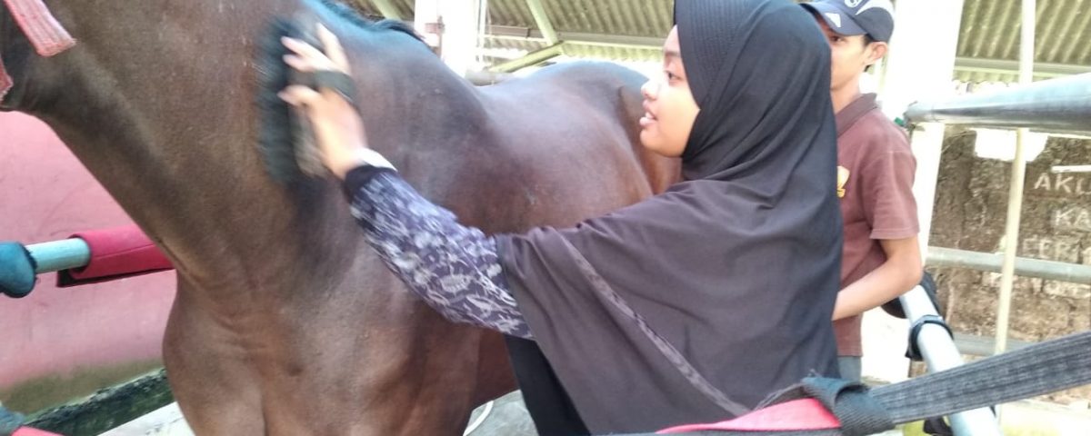 magang